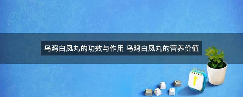 乌鸡白凤丸的营养价值